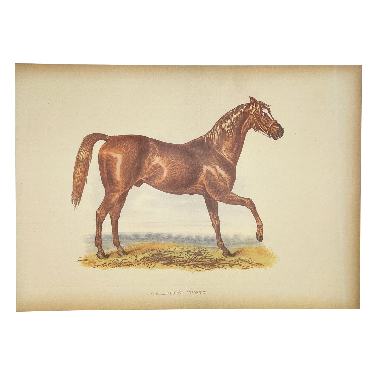 Antique Horse Racing Print ‘George Frederick’ After Herring, English Lithograph
