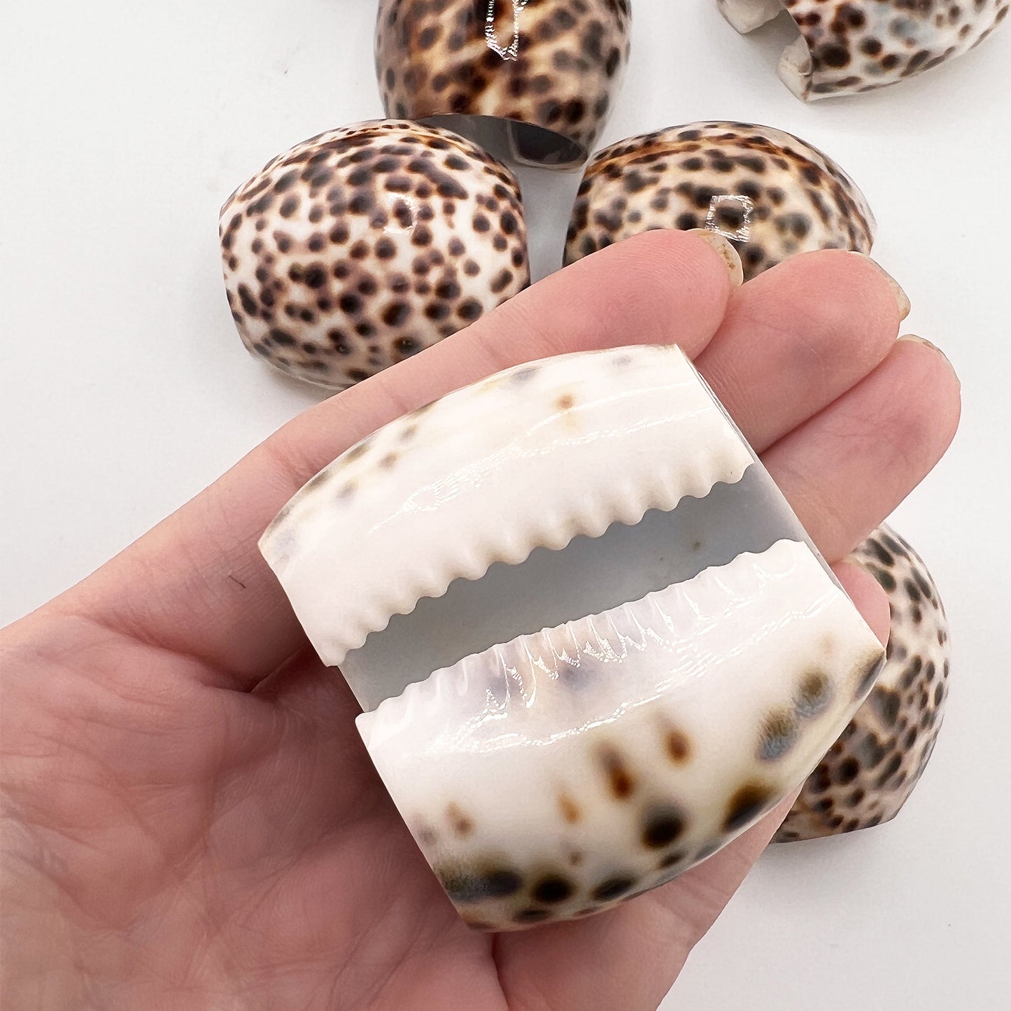 Hollywood Regency Set of 8 Natural Tiger Cowrie Shell Napkin Rings