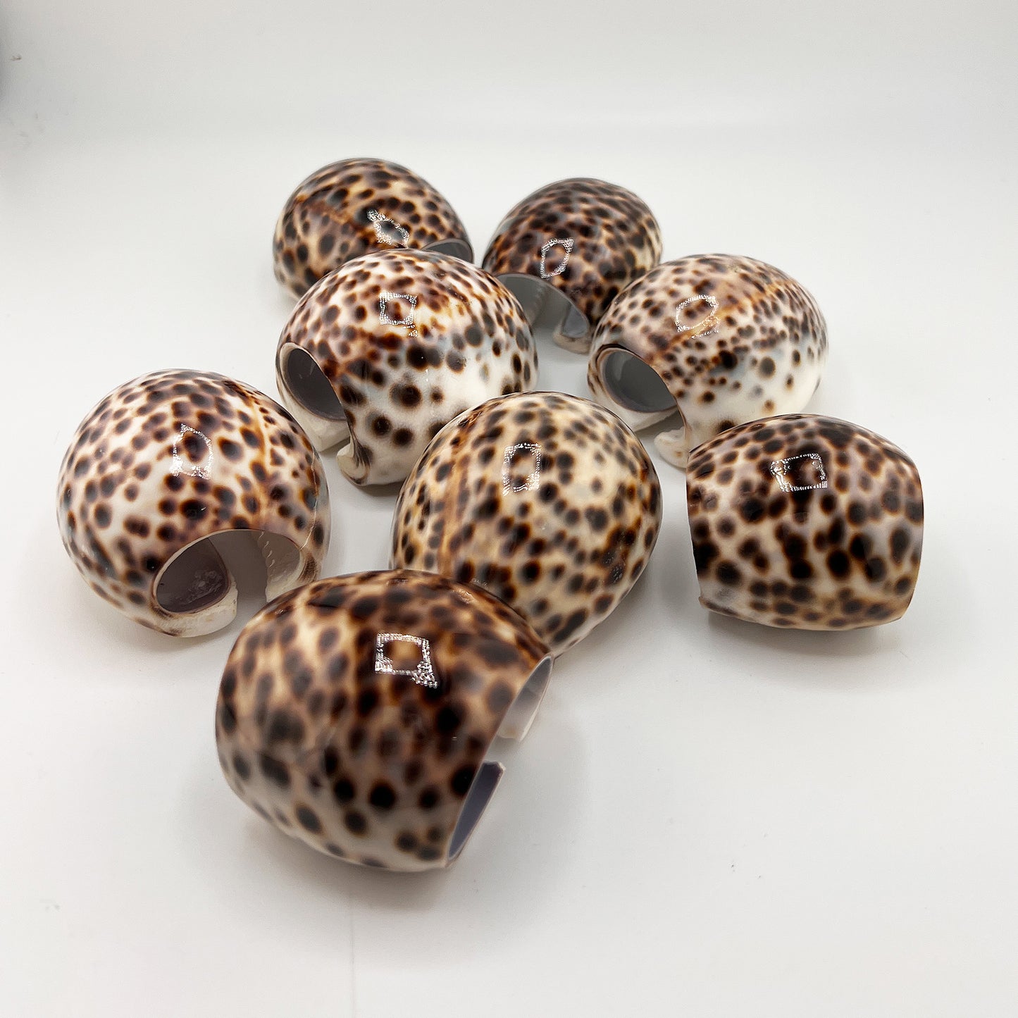 Hollywood Regency Set of 8 Natural Tiger Cowrie Shell Napkin Rings