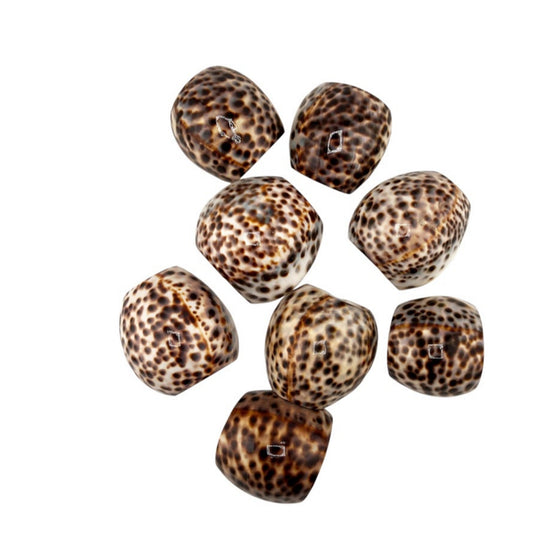 Hollywood Regency Set of 8 Natural Tiger Cowrie Shell Napkin Rings