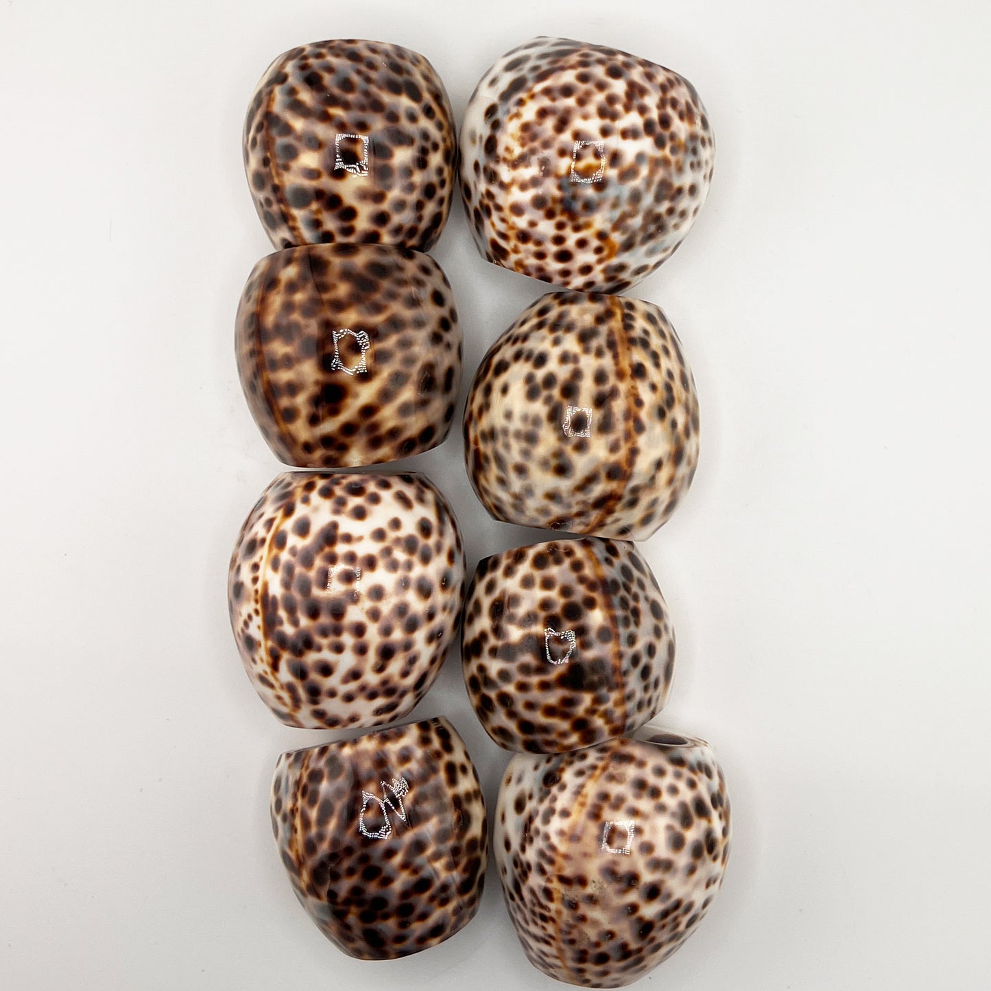 Hollywood Regency Set of 8 Natural Tiger Cowrie Shell Napkin Rings
