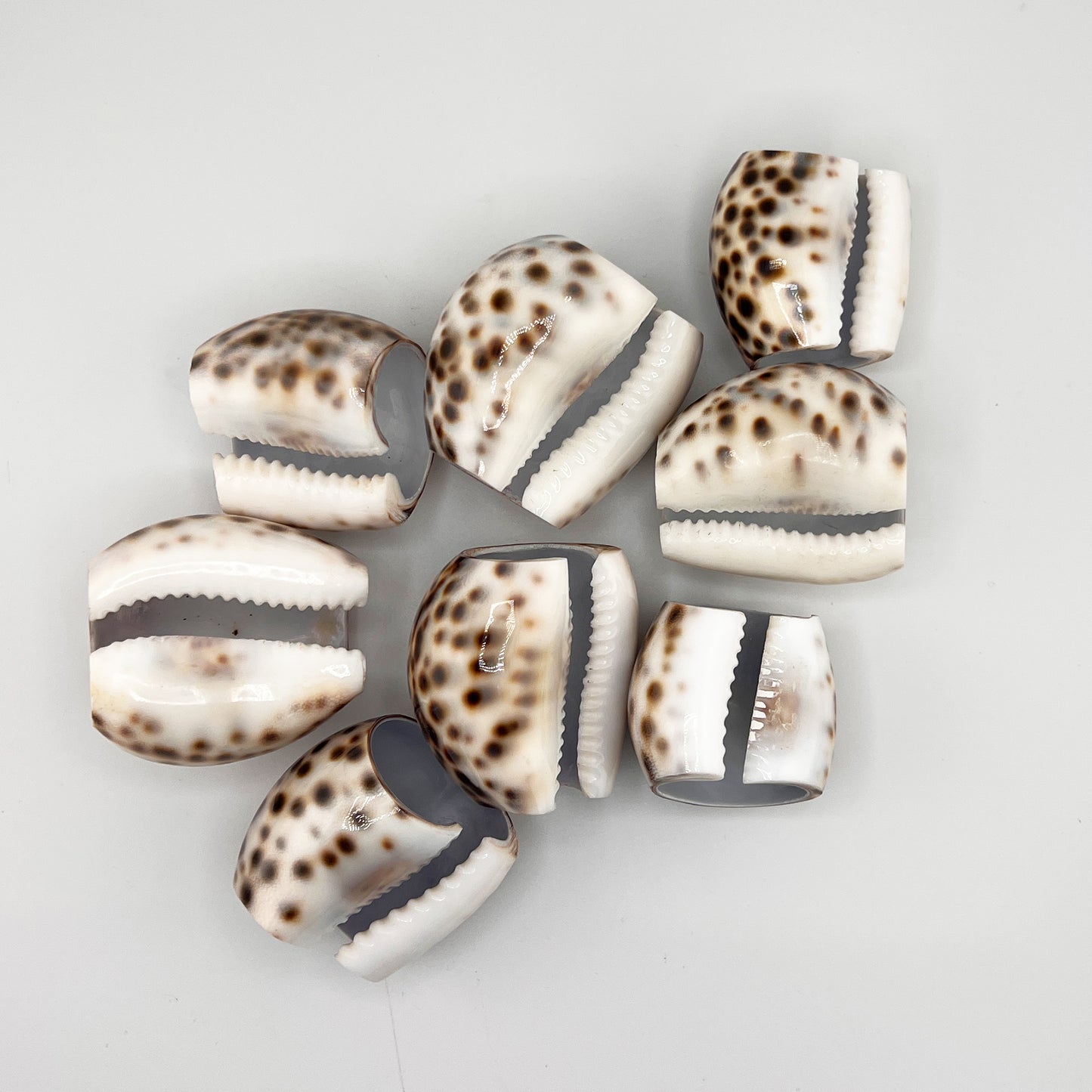 Hollywood Regency Set of 8 Natural Tiger Cowrie Shell Napkin Rings