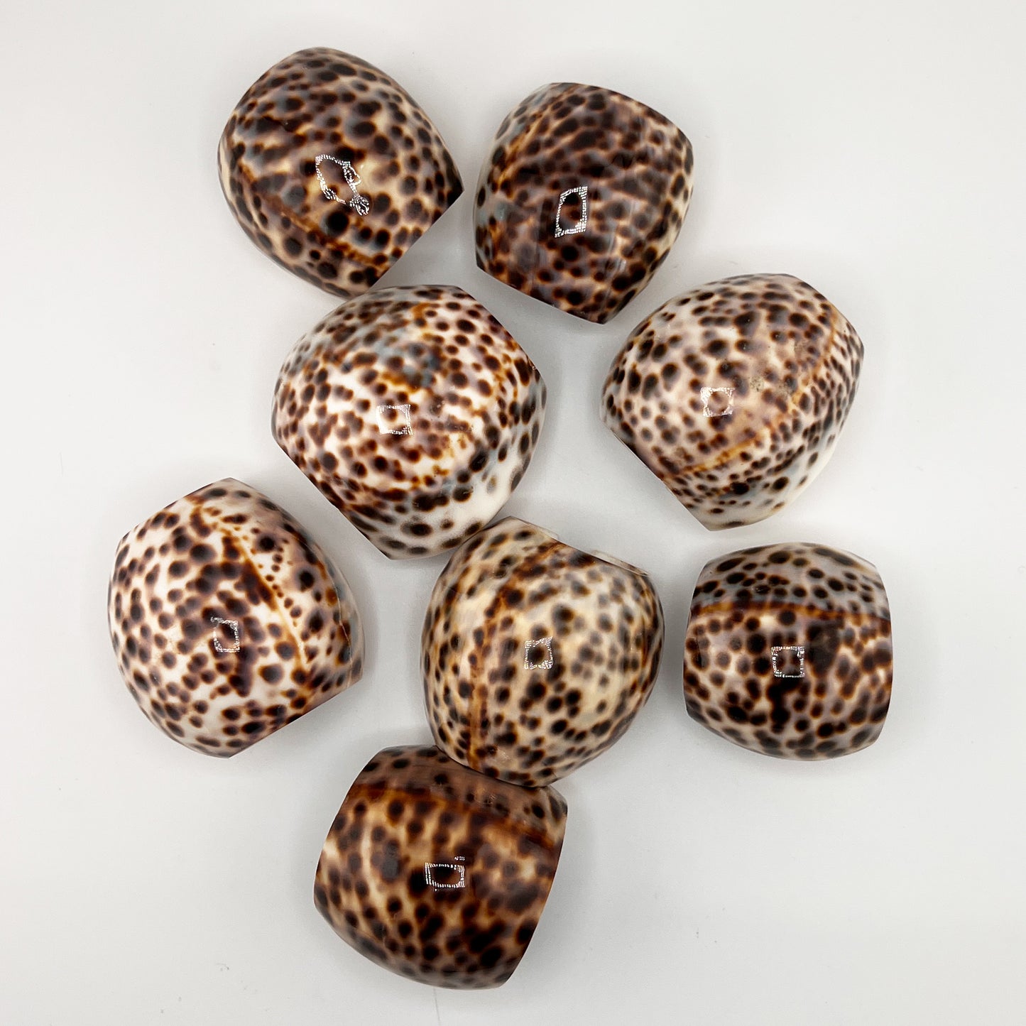 Hollywood Regency Set of 8 Natural Tiger Cowrie Shell Napkin Rings
