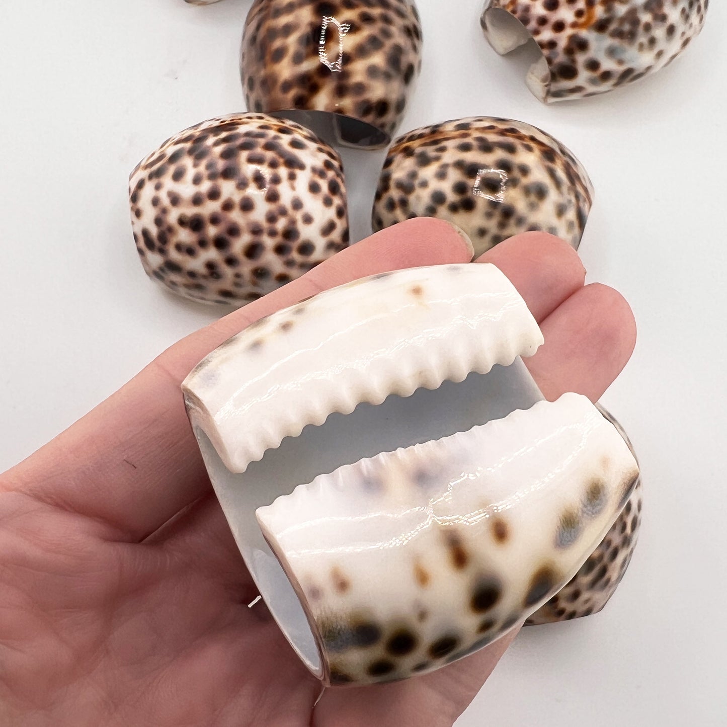 Hollywood Regency Set of 8 Natural Tiger Cowrie Shell Napkin Rings
