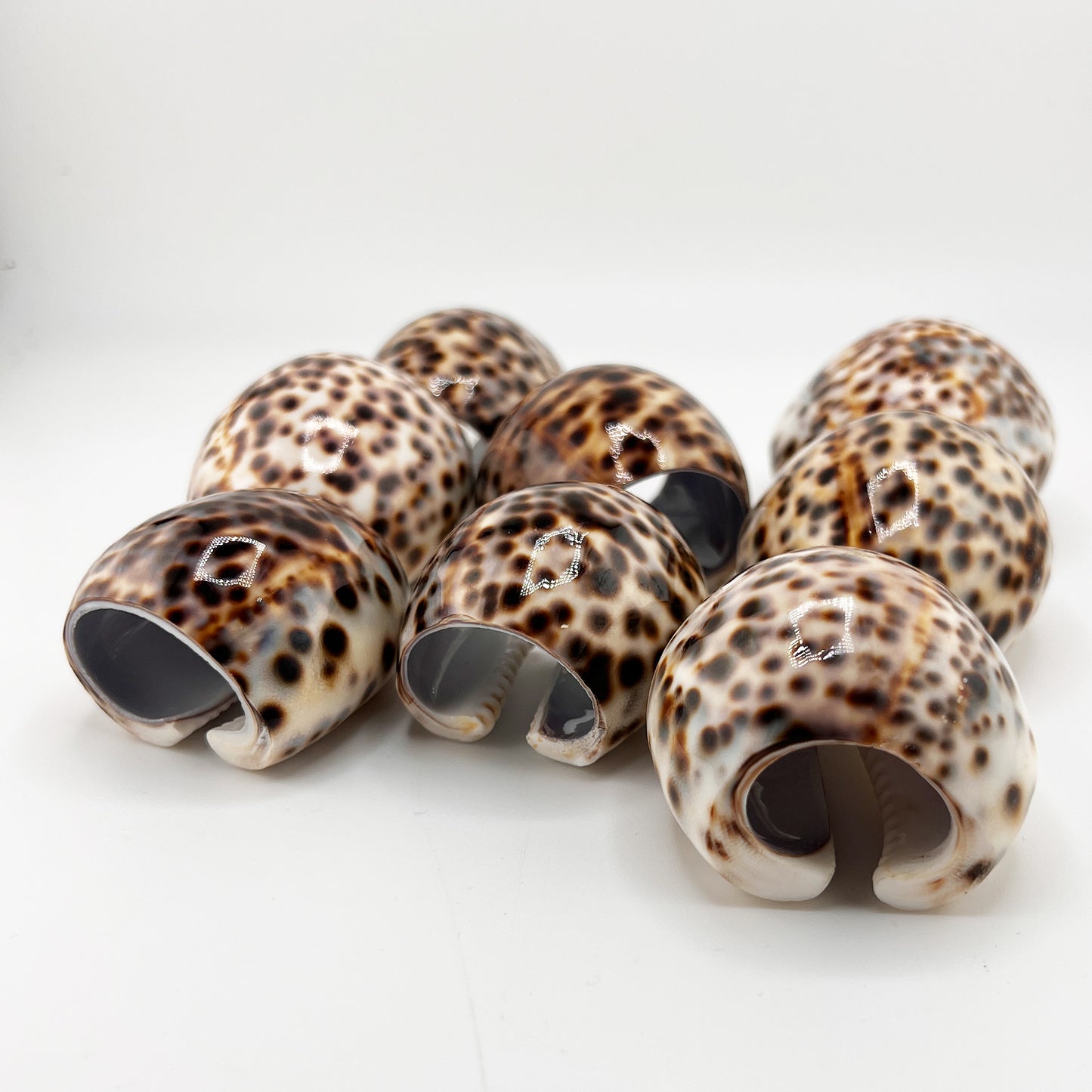 Hollywood Regency Set of 8 Natural Tiger Cowrie Shell Napkin Rings