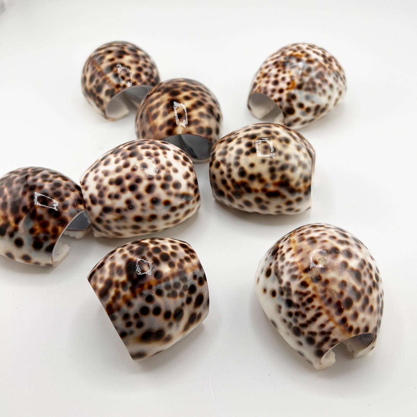 Hollywood Regency Set of 8 Natural Tiger Cowrie Shell Napkin Rings