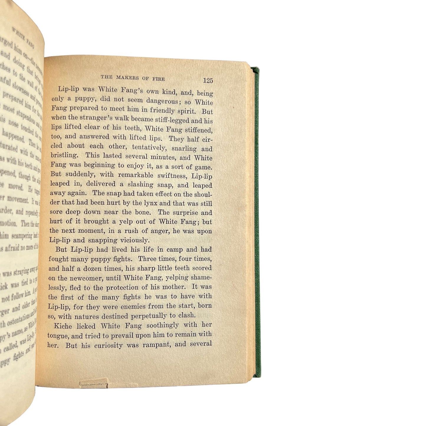 Antique Jack London White Fang Seven Seas Edition Collier Illustrated c.1906
