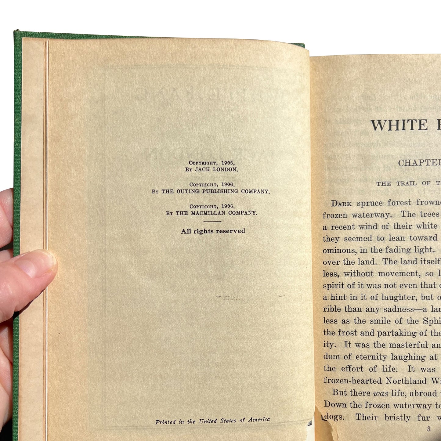 Antique Jack London White Fang Seven Seas Edition Collier Illustrated c.1906