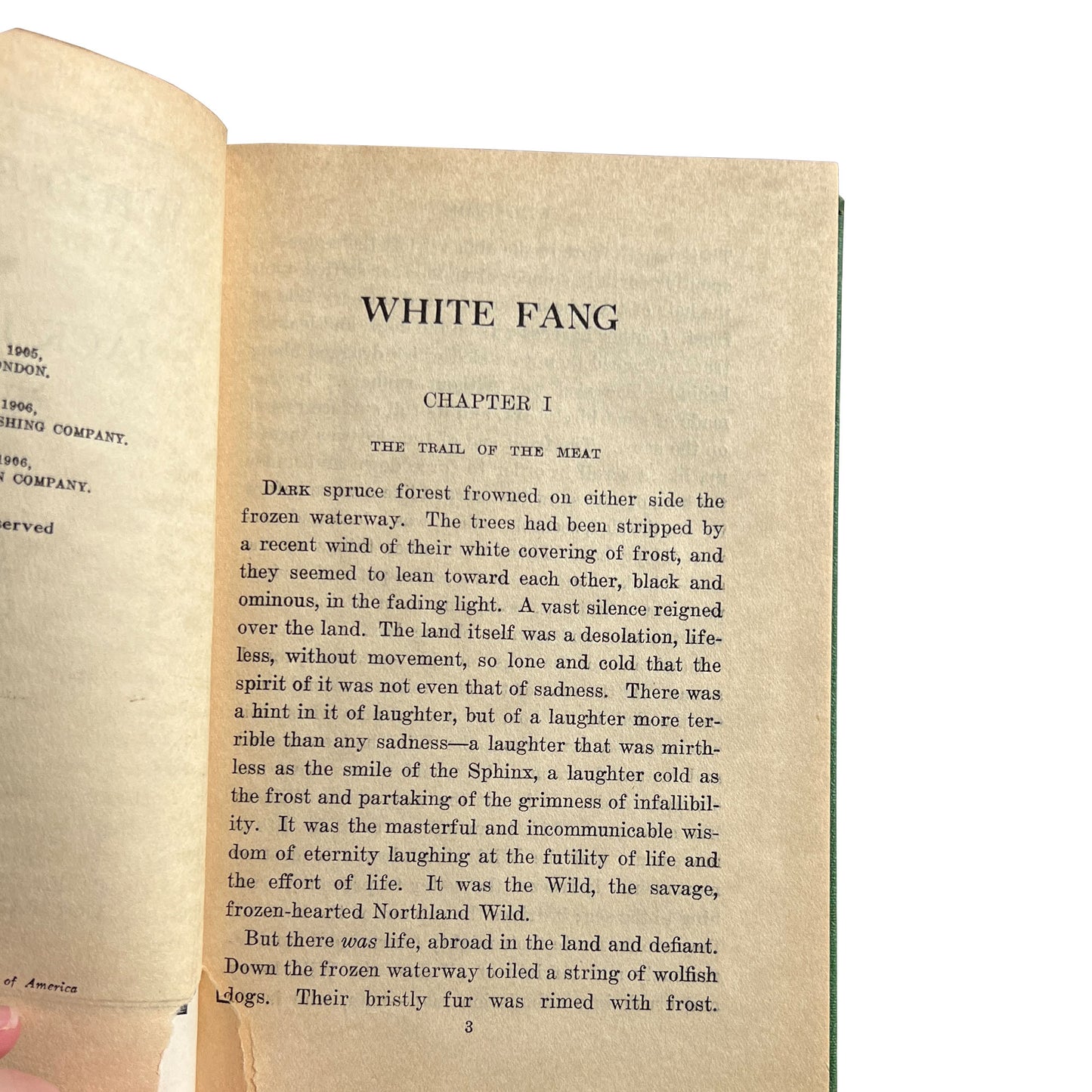 Antique Jack London White Fang Seven Seas Edition Collier Illustrated c.1906