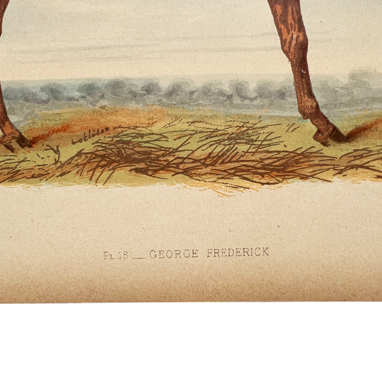 Antique Lithograph “George Frederick” with Lineage Chart, 19th Century