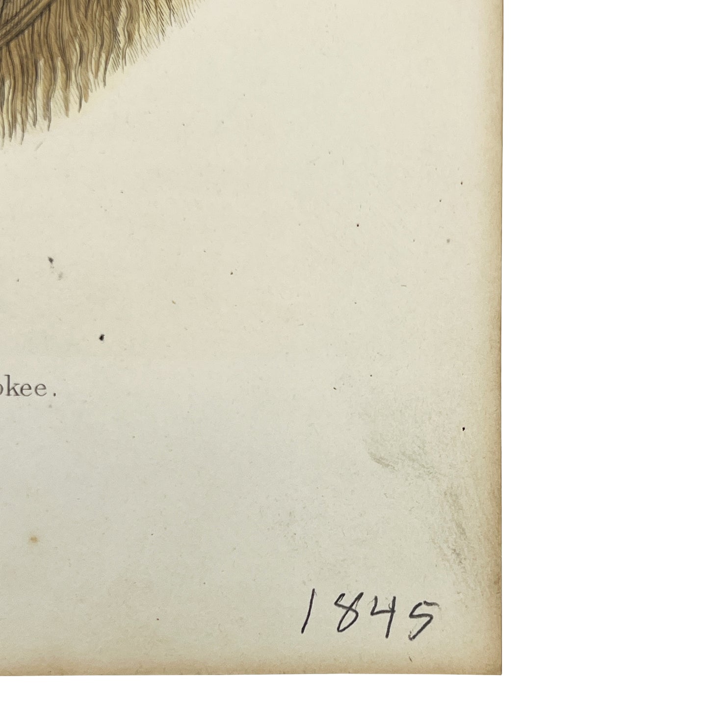 Antique Hand-Colored Engraving Tuch-ee Cherokee Chief After Catlin c 1845